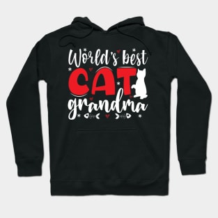 World's Best Cat & Dog Grandma Hoodie